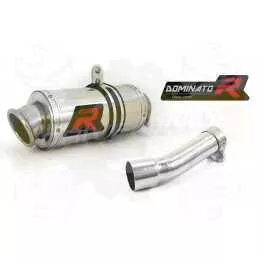 Silencieux sport Dominator : SVF Gladius 650 2009 - 2016
