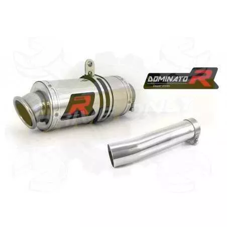 Silencieux sport Dominator : Daytona 955i 1996 - 2006