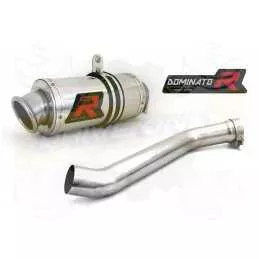 Silencieux sport Dominator : YZF R1 2002 - 2003