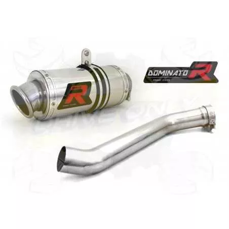 Silencieux sport Dominator : YZF R1 2002 - 2003
