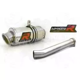 Silencieux sport Dominator : FZS 1000 Fazer 2001 - 2005