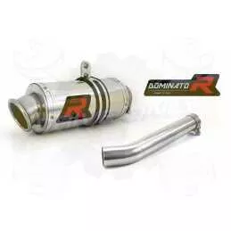 Silencieux sport Dominator : FZR 600 1994 - 1999