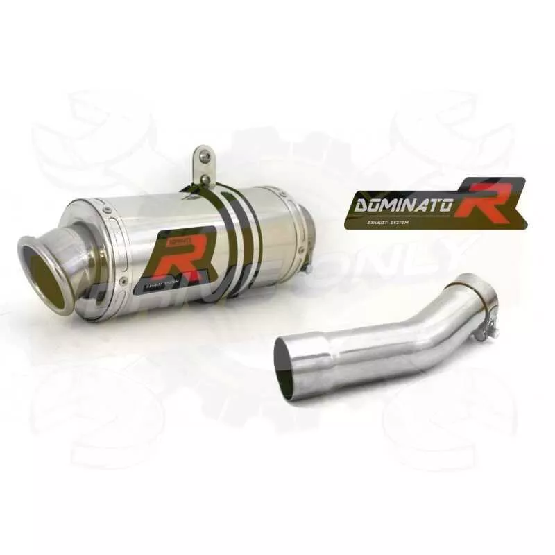 Silencieux sport Dominator : FZR 600 1988 - 1993