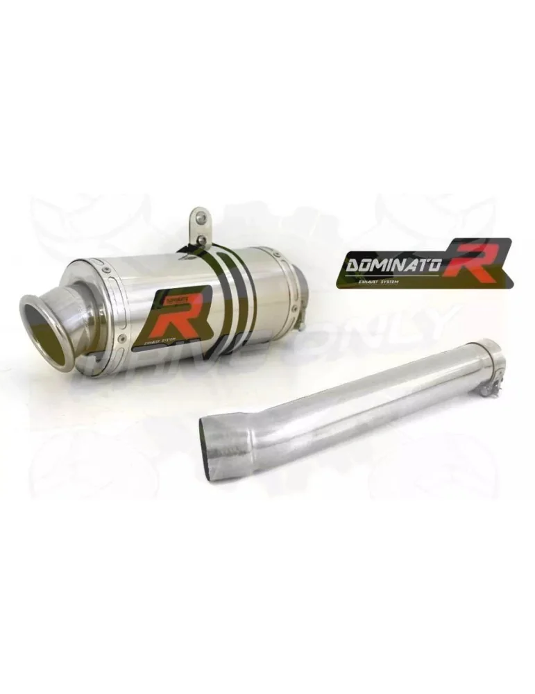 Silencieux sport Dominator : FZR 1000 Genesis 1991 - 1994