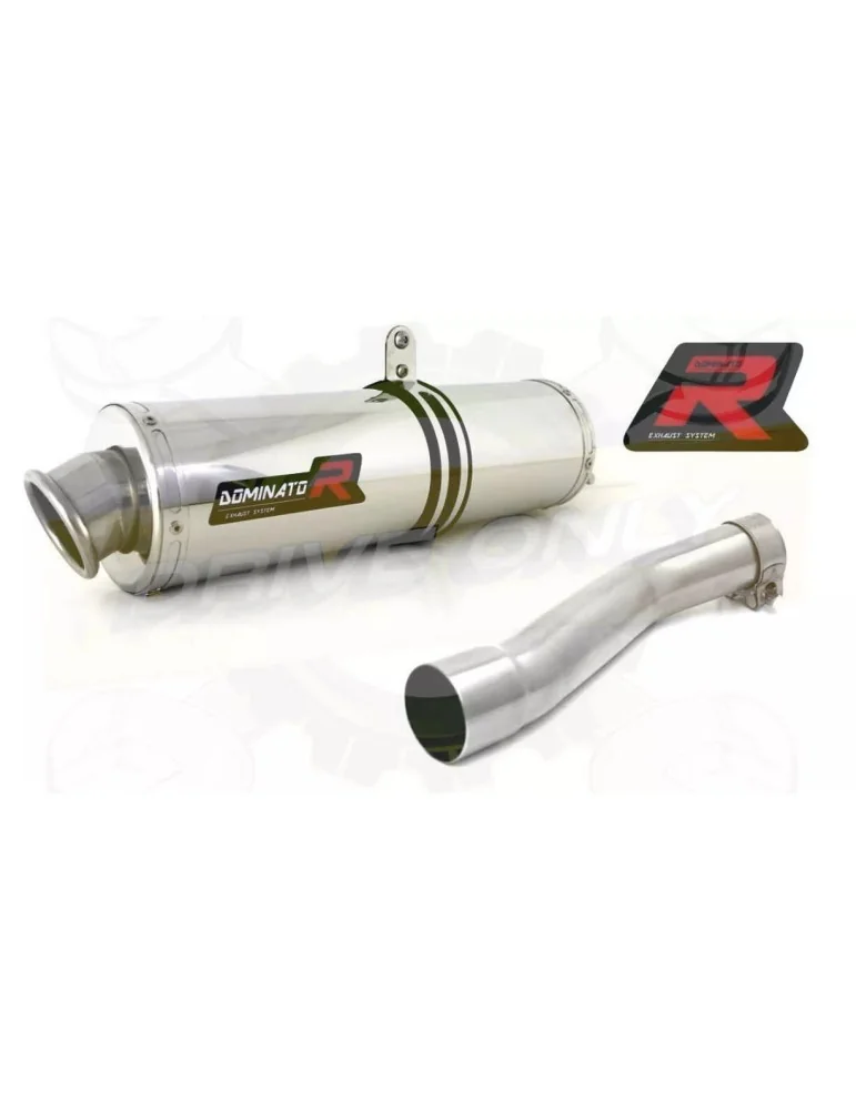 Silencieux sport Dominator : TTR 600 1999 - 2003