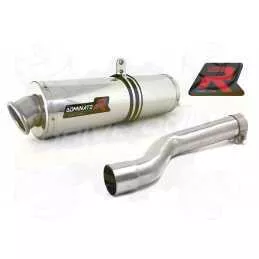 Silencieux sport Dominator : TTR 250 1999 - 2006