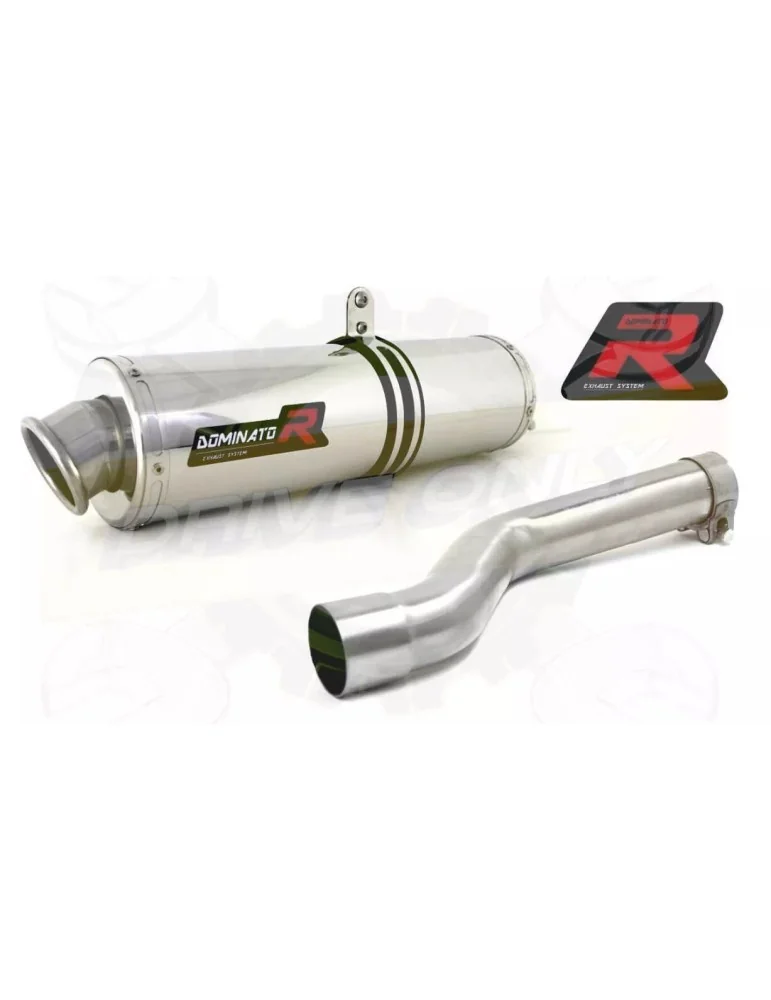 Silencieux sport Dominator : TTR 250 1999 - 2006