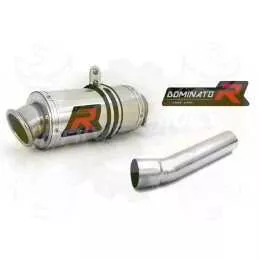 Silencieux sport Dominator : TZR 50 2003 - 2012