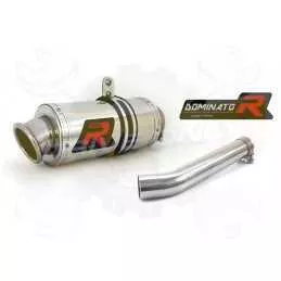 Silencieux sport Dominator : YZF 600 Thundercat 1996 - 2006