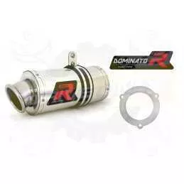 Silencieux sport Dominator : YZF 1000 Thunderace 1996 - 2003