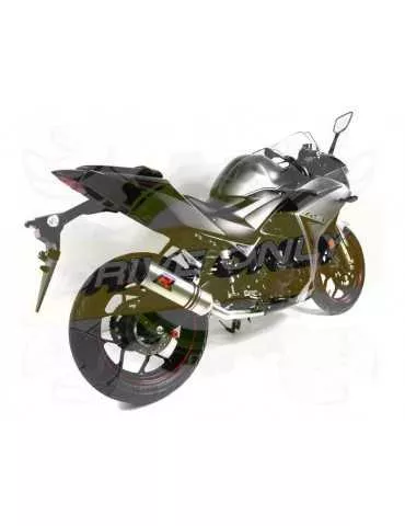 Silencieux sport Dominator : MT 03 2014 - 201x