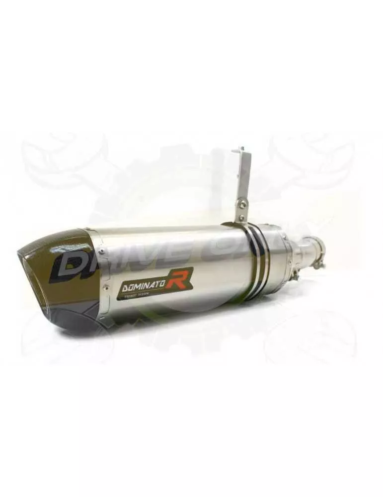 Silencieux sport Dominator : YZF R1 2002 - 2003