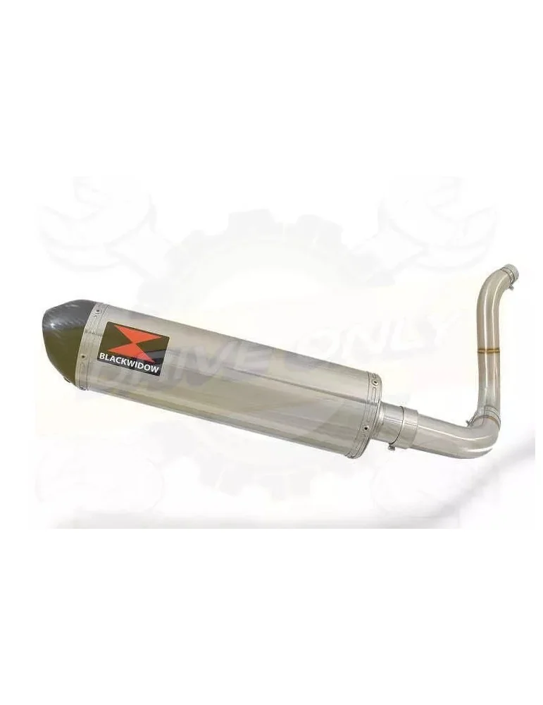 KTM 125 Duke 2011-2016 Silencieux Kit / Silencieux Ovale en Inox + Canule en Carbone 400mm 