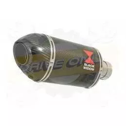 KLE 650 VERSYS 2007-2014 Low Level exhaust link pipe and 200mm oval carbon fibre silencer + carbon tip
