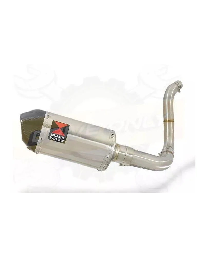 KTM 125 Duke 2011-2016 Silencieux Kit / Silencieux ovale en Inox + Canule en Carbone 200mm 