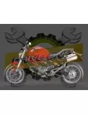 Silencieux sport Dominator : Monster 1100 2009 - 2013