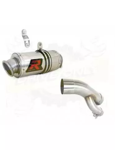 Silencieux sport Dominator : S1000RR 2017 - 2018