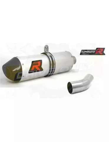 Silencieux sport Dominator : TRX 450R 2004 - 2005