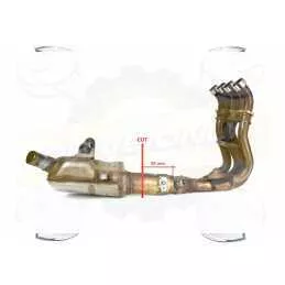 Décatalyseur / Décat sport Dominator : GSXS 1000 2015 - 2018