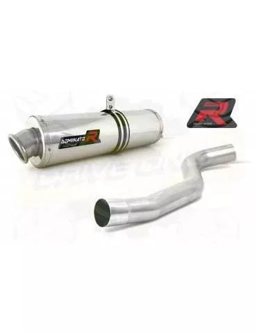 Silencieux sport Dominator : Tiger 1050 2006 - 2012