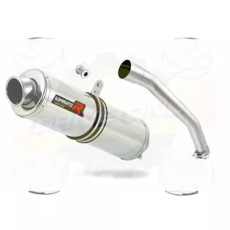 Silencieux sport Dominator : Tiger 1050 2006 - 2012