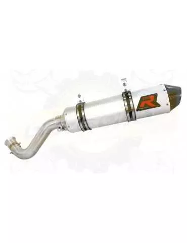 Silencieux sport Dominator : Grizzly MY 700 2016 - 201x