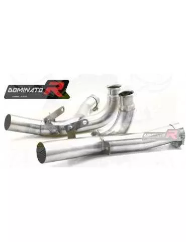 Collecteur / Décat sport Dominator : V Max 1700 2009 - 201x