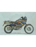 Silencieux sport Dominator : XTZ 660 Tenere 1991 - 1999
