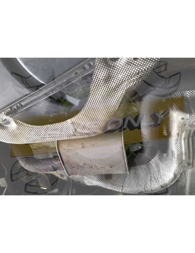 Intermédiaire direct  Sport  Inox DriveOnly Focus ST 225 