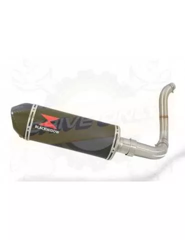 KTM 125 Duke 2011-2016 Silencieux Kit / Silencieux  Ovale Noir en Inox + Canule en Carbone 300mm 