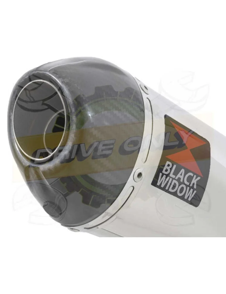 KTM 125 Duke 2017-2019  Silencieux en Inox + Canule Carbone  200mm