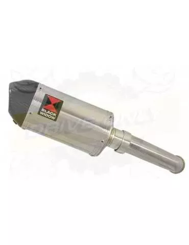 KTM 125 Duke 2017-2019  Silencieux en Inox + Canule Carbone  200mm