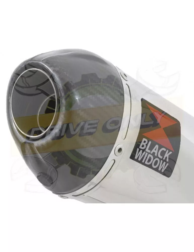 KTM 125 Duke 2017-2019  Silencieux en Inox + Canule Carbone  200mm