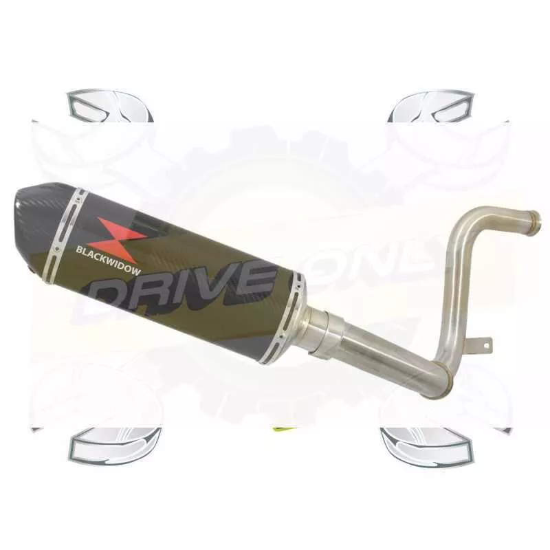 KTM RC 125 2017-2019 Ligne directe + Silencieux Ovale en Carbone + Canule Carbone  300mm
