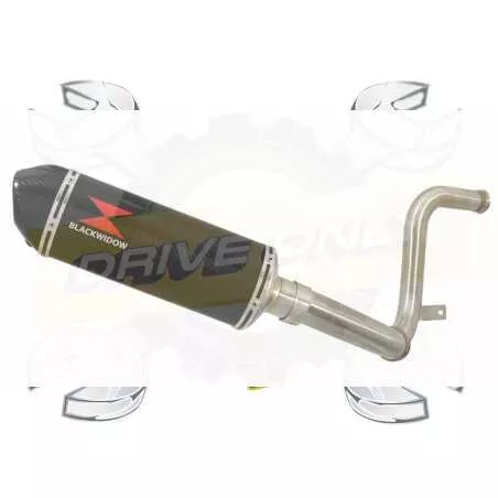 KTM RC 125 2017-2019 Ligne directe + Silencieux Ovale en Carbone + Canule Carbone  300mm