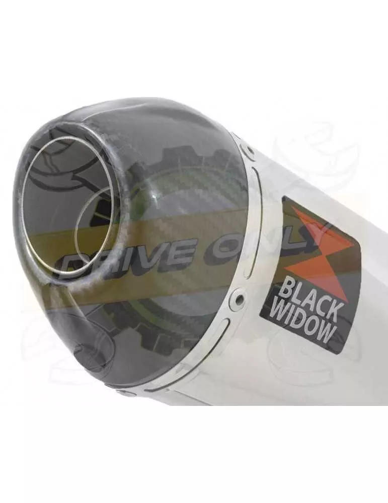 KTM 125 Duke 2017-2019  Silencieux en Inox + Canule Carbone  200mm