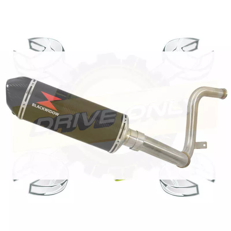 KTM RC 125 2017-2019 Ligne directe + Silencieux Ovale en Carbone + Canule Carbone  300mm