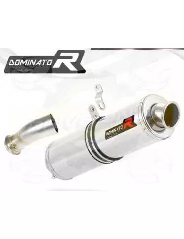 Silencieux sport Dominator : 690 SMC R 2019 - 201x