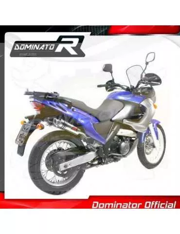 Silencieux sport Dominator : Pegaso 650 2001 - 2004