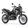 Silencieux sport Dominator : Pegaso 650 Trail 2006 - 2010
