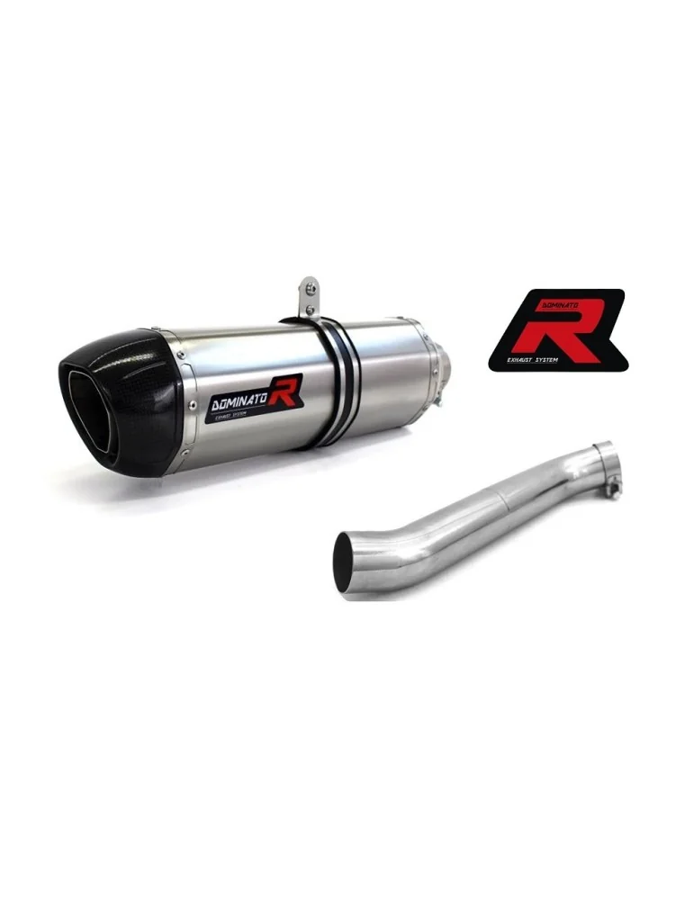 Silencieux sport Dominator : RSV 4 R / Factory 2009 - 2016