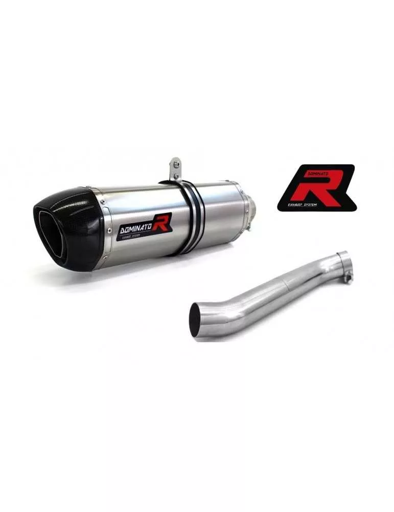 Silencieux sport Dominator : RSV 4 R / Factory 2009 - 2016