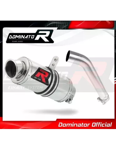 Silencieux sport Dominator : F750GS 2012 - 2017