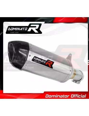 Silencieux sport Dominator : S1000RR 2019 - 2020