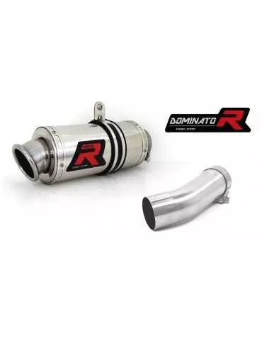 Silencieux sport Dominator : S 1000 RR 2015 - 2016