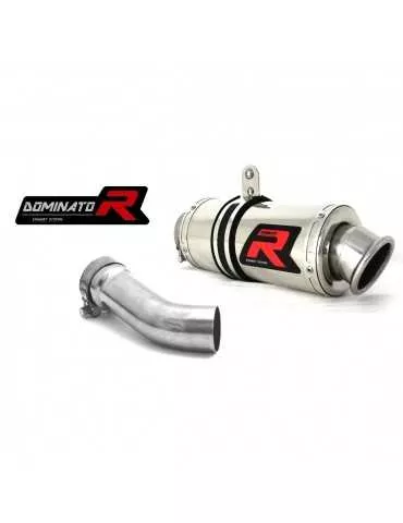 Silencieux sport Dominator : R 1200 R 2015 - 2018