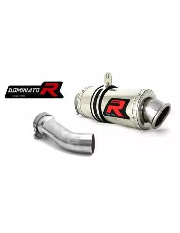 Silencieux sport Dominator : R 1200 RS 2015 - 2018