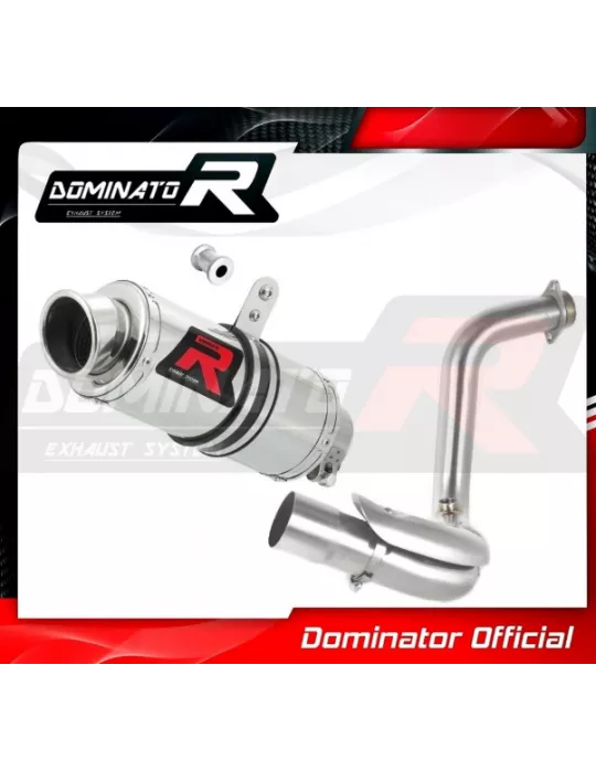Silencieux sport Dominator : G 310 GS 2016 - 201x
