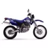 Silencieux sport Dominator : TTR 600 1999 - 2003