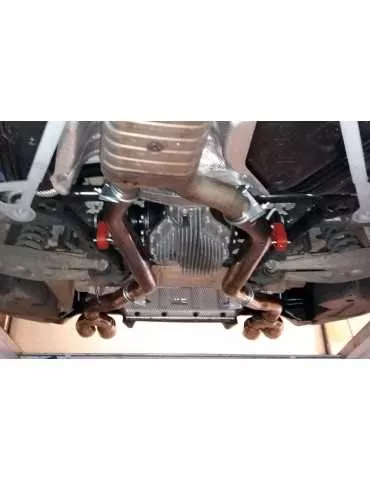 Silencieux direct  Sport  Inox DriveOnly  BMW F87 M2 2019 - 202x